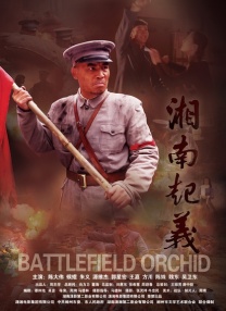 岛国顶级片